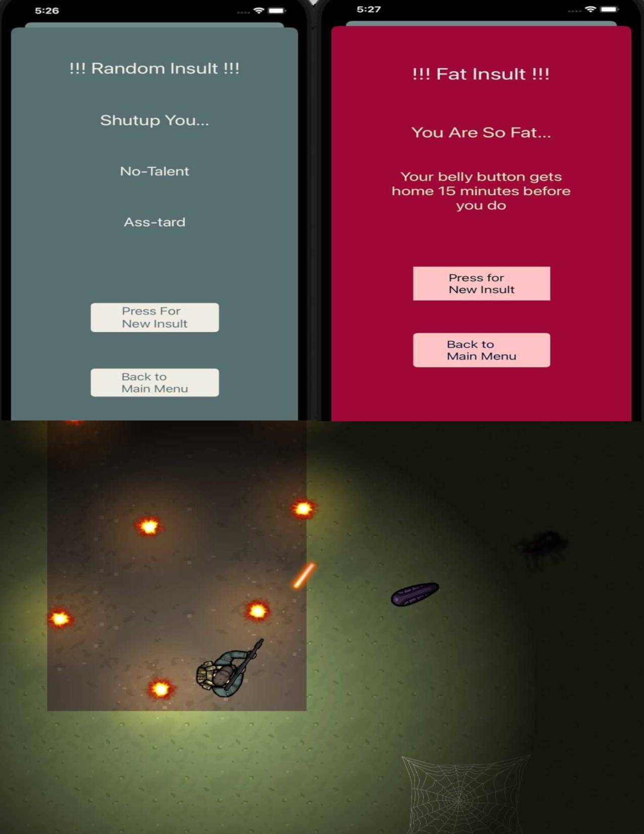 project snapshot
